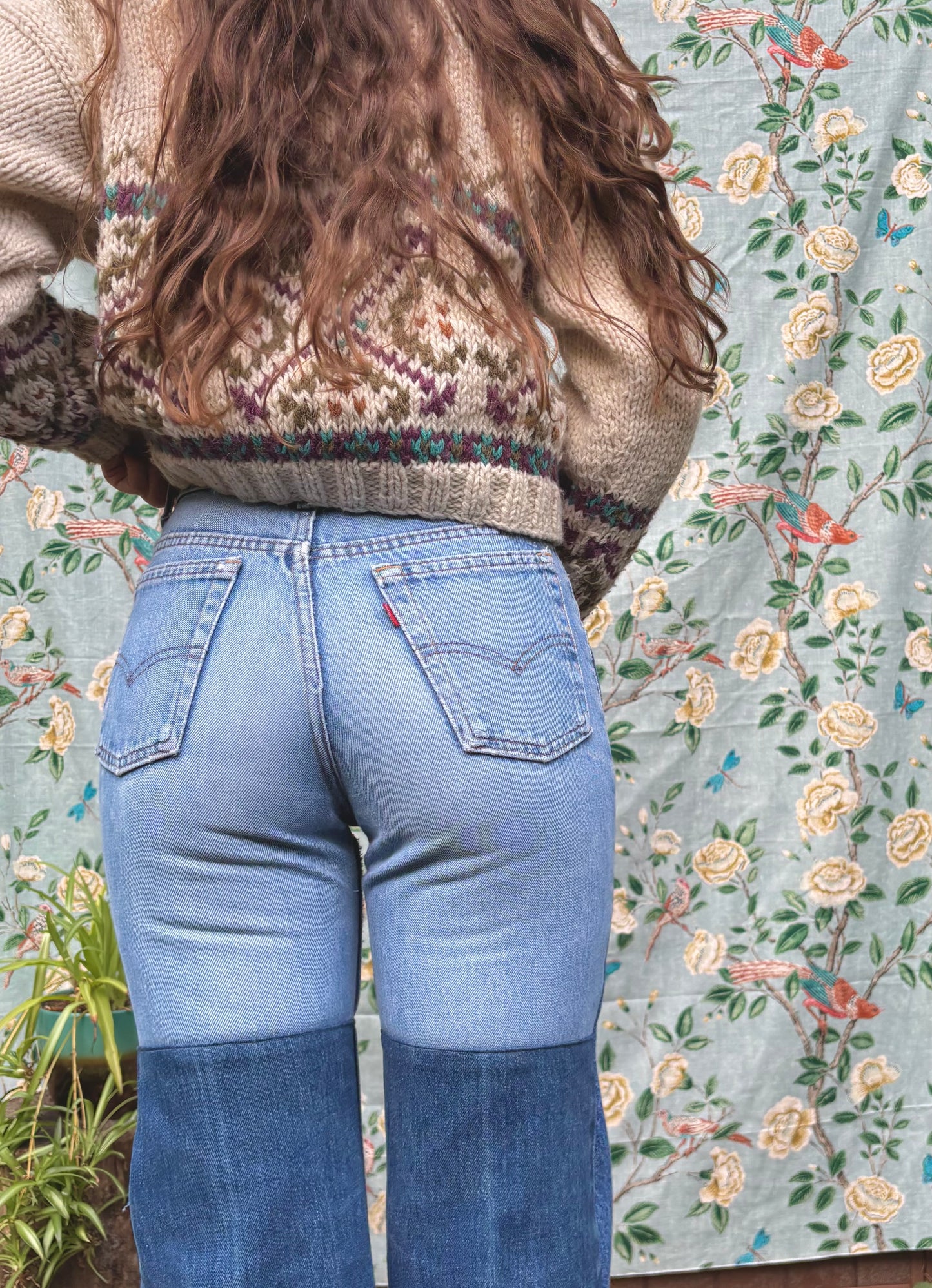 Plain Jane 1970s Levi's
