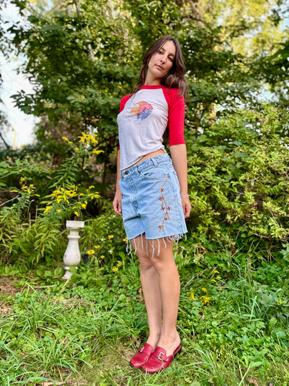 Hand Embroidered Levi's Shorts 🦉