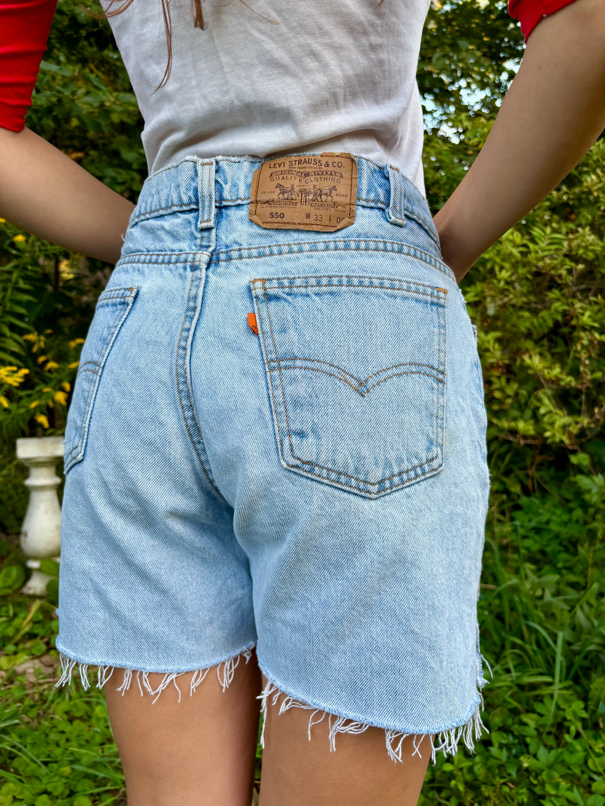 Hand Embroidered Levi's Shorts 🦉