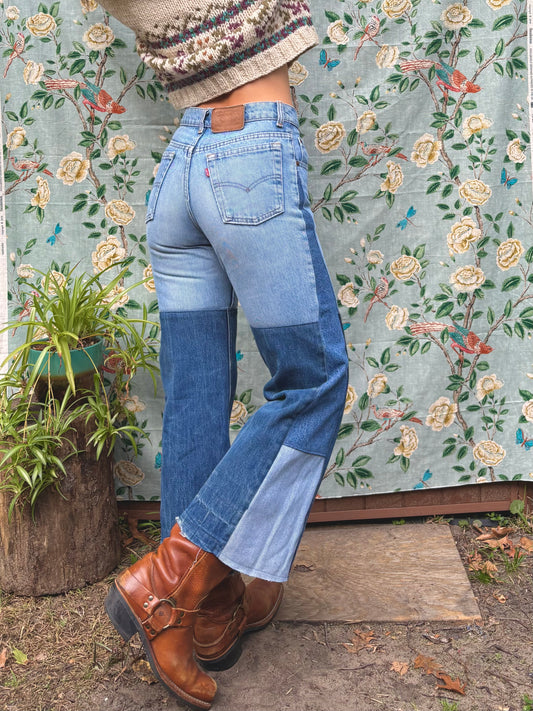 Plain Jane 1970s Levi's