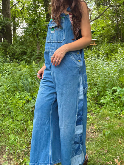 Blue Jean Star & Pinwheel Overalls
