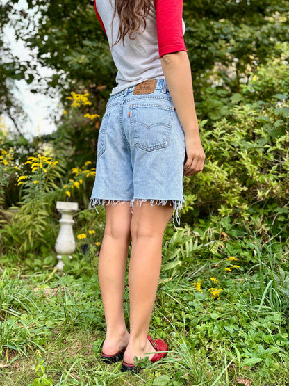 Hand Embroidered Levi's Shorts 🦉