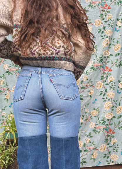 Plain Jane 1970s Levi's