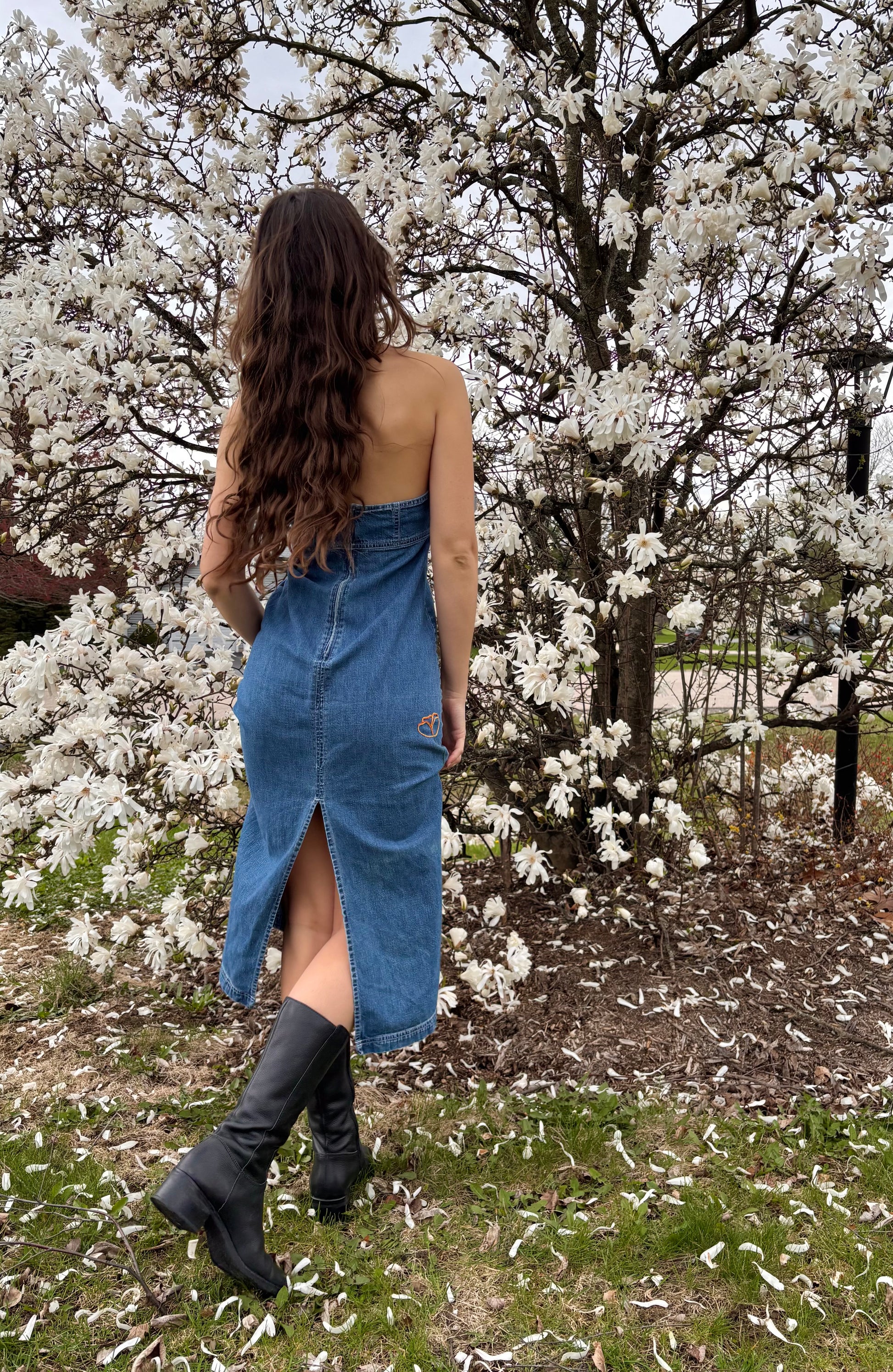 poppy denim dress poppy collared dress // denim darling *zoco exclusive* xsmall